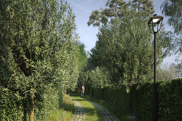 MAGERE SCHORRE KAVEL 2