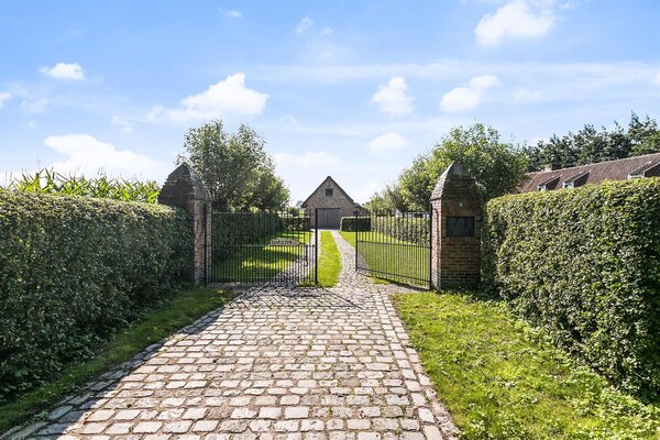 ’T VERLOREN SCHAAP