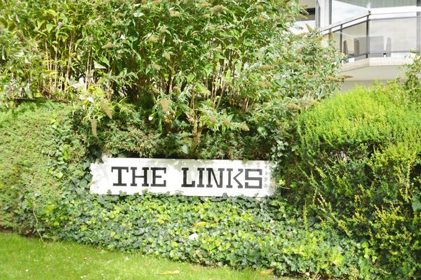THE LINKS